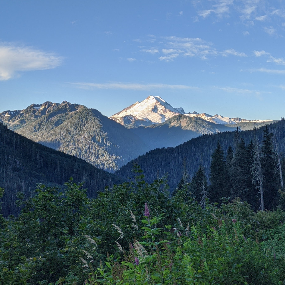 Yellow Aster Butte hike